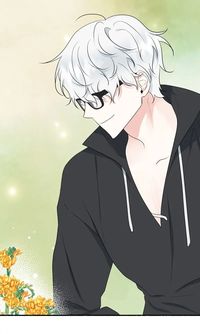 32997706 800 1333 49064